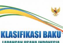 Klasifikasi Baku Lapangan Usaha Indonesia 2017