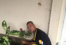 Penataan Halaman DPMTK