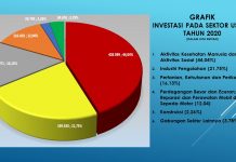 GRAFIK INVESTASI PADA SEKTOR USAHA TAHUN 2020