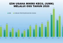 Izin Usaha Mikro Kecil (IUMK) Tahun 2020