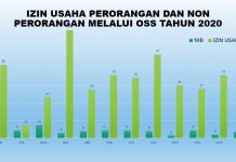 Izin Usaha Perorangan dan Non Perorangan Tahun 2020