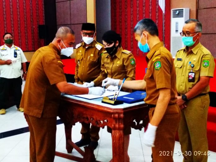 WhatsApp Image 2021-03-30 at 10.17.58