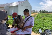 Survey IMB Perumahan