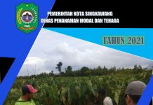 Kajian Sumberdaya Terkait Investasi Perkebunan Keladi