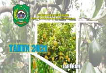 Kajian Sumberdaya Terkait Investasi Pada Agroindusti Lemon dan Alpokat