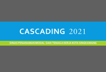 Cascading DPMTK 2021
