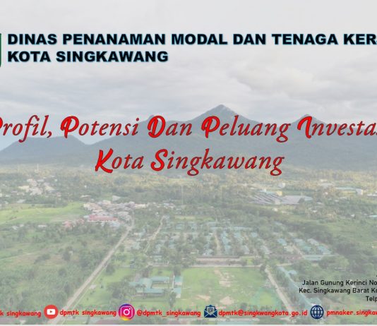 Profil, Potensi & Peluang Investasi Kota Singkawang 2022