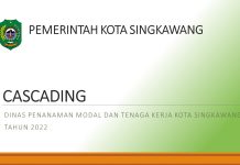 Cascading DPMTK Th. 2022