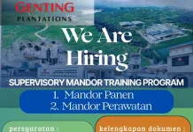 Info Lowongan Pekerjaan