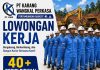Info Lowongan Pekerjaan