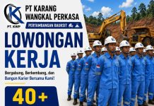 Info Lowongan Pekerjaan