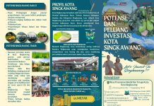 Potensi dan Peluang Investasi Kota Singkawang